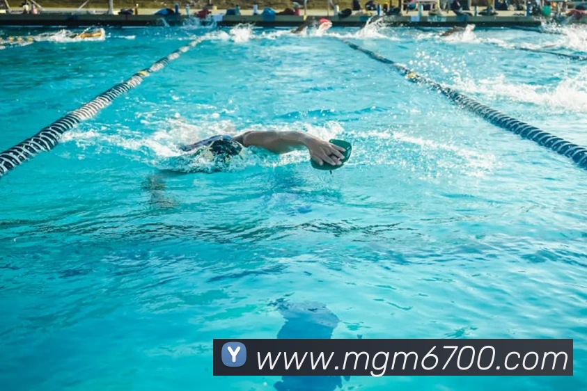 美高梅mgm服务体系