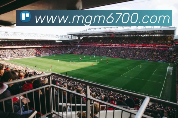 美高梅mgmAPP 体育赛事宣传图